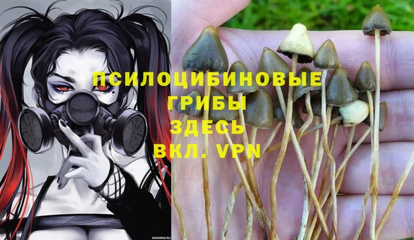 тгк Алзамай