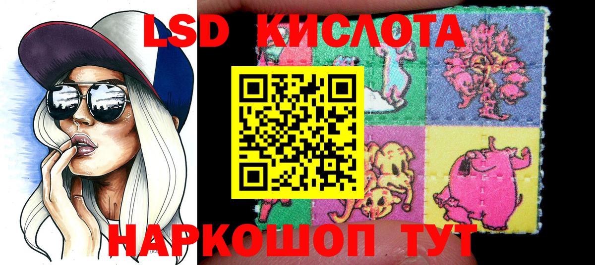 Наркотические марки 1500мкг  Вход с VPN  купить наркотик  Бийск 