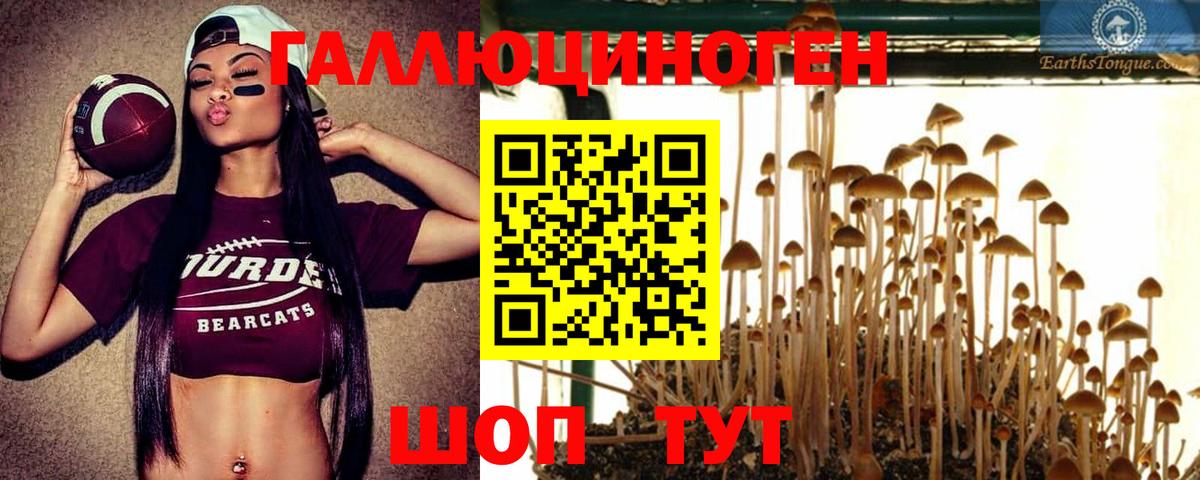 Галлюциногенные грибы прущие грибы  Вход с VPN  Бийск 